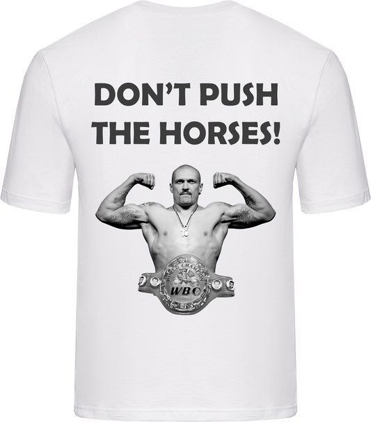Футболка Don't Push The Horses